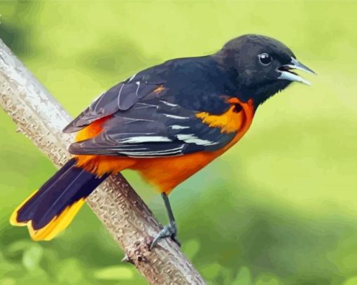 Cute Orchard Oriole Diamond Painting