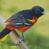 Cute Orchard Oriole Diamond Painting