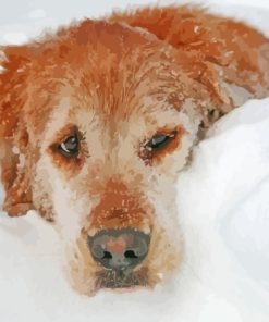 Dog Animal In Snow Diamond Painting