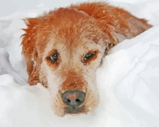 Dog Animal In Snow Diamond Painting