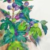 Fig Tree Branch Diamond Painting