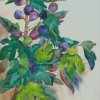 Fig Tree Branch Diamond Painting