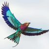 Flying Lilac Breasted Roller Diamond Painting