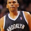 Jerry Stackhouse Basketball Player Diamond Painting