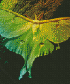 Lunar Moth Insect Diamond Painting