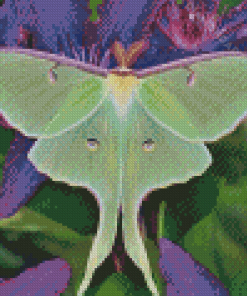 Moon Moth On Purple Flowers Diamond Painting