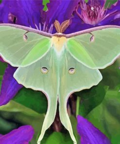 Moon Moth On Purple Flowers Diamond Painting