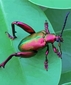 Pink Christmas Beetle Diamond Painting