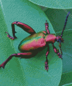 Pink Christmas Beetle Diamond Painting