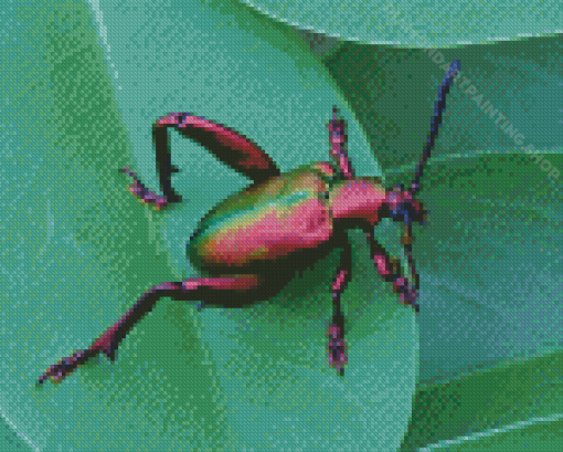 Pink Christmas Beetle Diamond Painting