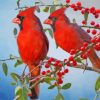 Red Cardinals Couple Diamond Painting