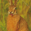 Smiling Rabbit Diamond Painting