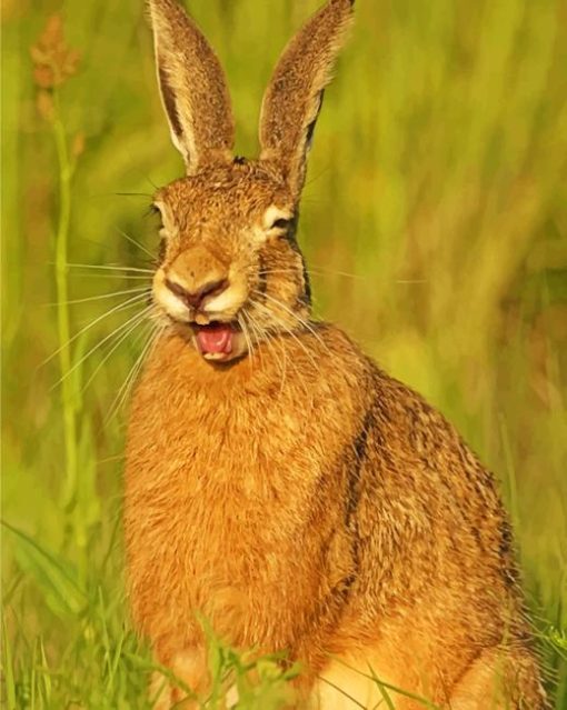 Smiling Rabbit Diamond Painting