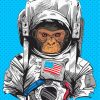 Space Astronaut Chimp Illustration Diamond Painting