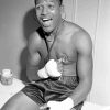 Sugar Ray Robinson Diamond painting