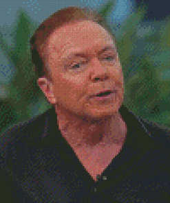 The Actor David Cassidy Diamond Painting