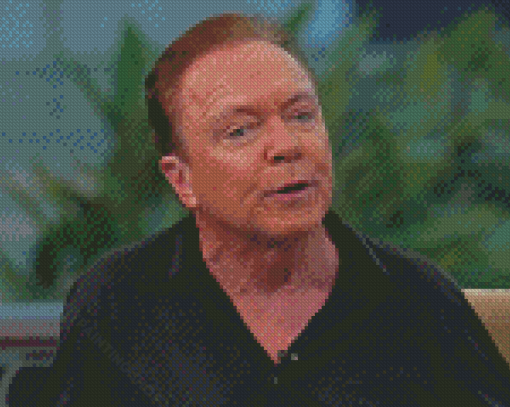 The Actor David Cassidy Diamond Painting