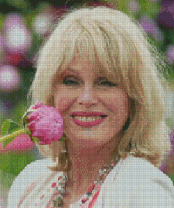 The Actress Joanna Lumley Diamond Painting