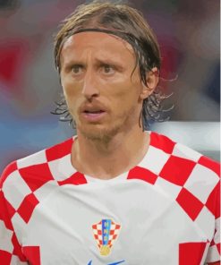 The Footballer Luka Modric Diamond Painting