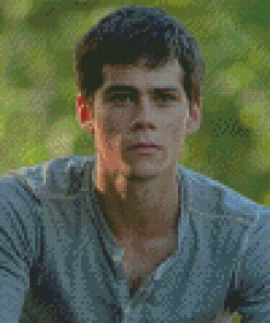 The Handsome Actor Dylan O Brien Diamond Painting