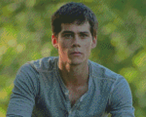 The Handsome Actor Dylan O Brien Diamond Painting