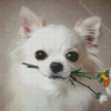 White Chihuahua With Flower Diamond Painting