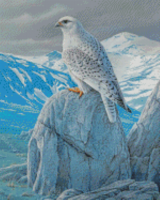 White Gyrfalcon Bird Diamond painting