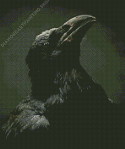 Aesthetic Common Raven Diamond Painting