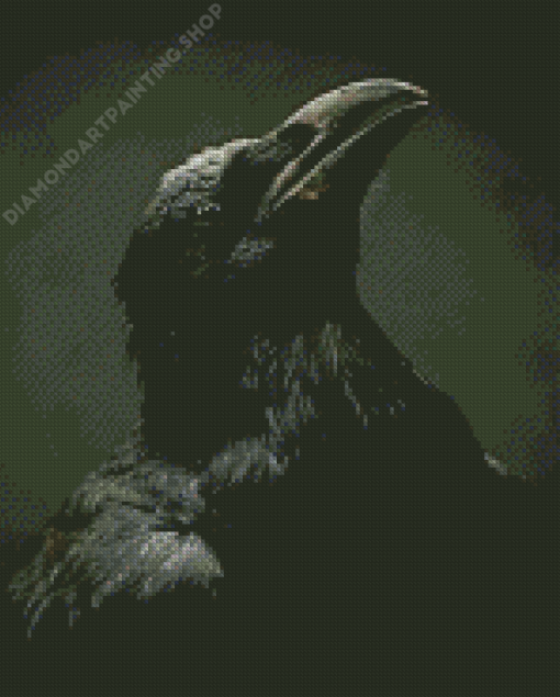 Aesthetic Common Raven Diamond Painting