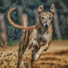 Aesthetic Greyhound Diamond Painting