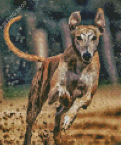 Aesthetic Greyhound Diamond Painting