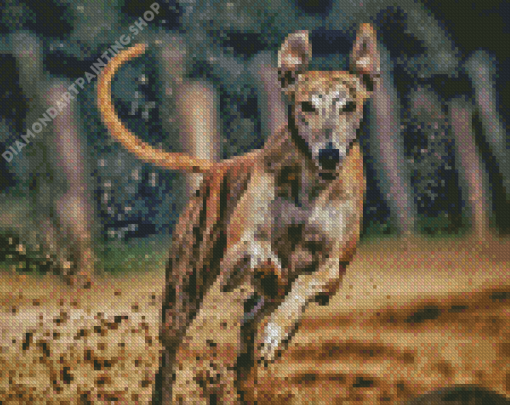 Aesthetic Greyhound Diamond Painting