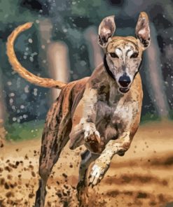 Aesthetic Greyhound Diamond Painting