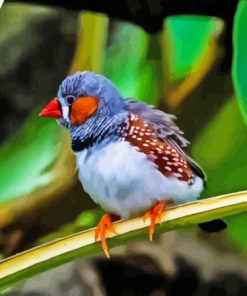 Zebra Finch Diamond Painting