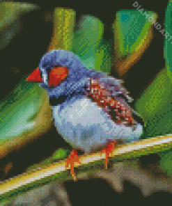 Zebra Finch Diamond Painting