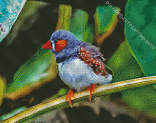 Zebra Finch Diamond Painting