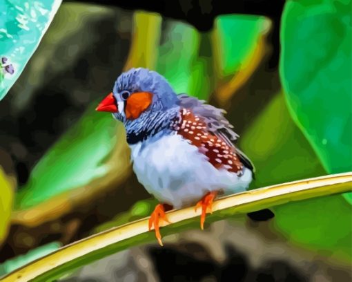 Zebra Finch Diamond Painting