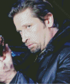 American Actor Roger Howarth Diamond Painting