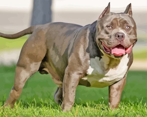 American Bully Diamond Painting