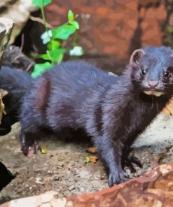 American Mink Diamond Painting