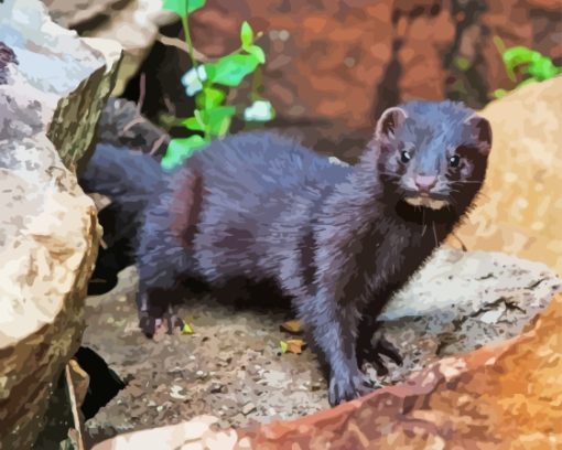 American Mink Diamond Painting