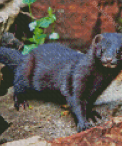 American Mink Diamond Painting