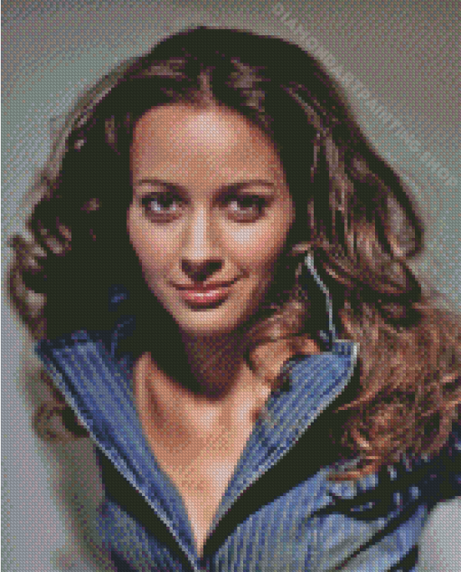 Amy Acker Diamond Painting