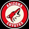 Arizona Coyotes Logo Diamond Painting