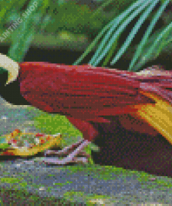 Bali Bird Of Paradise Diamond Painting