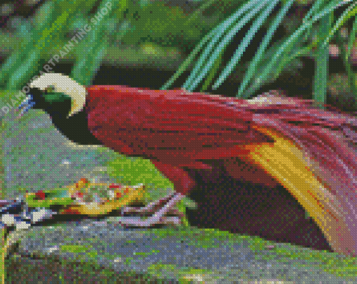 Bali Bird Of Paradise Diamond Painting