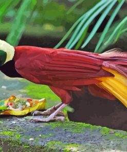 Bali Bird Of Paradise Diamond Painting