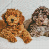 Beige And Brown Cockapoo Diamond Painting