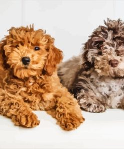 Beige And Brown Cockapoo Diamond Painting