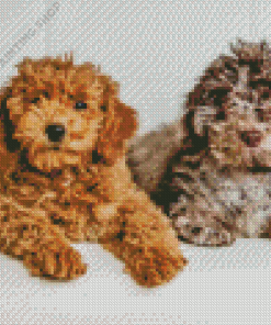 Beige And Brown Cockapoo Diamond Painting